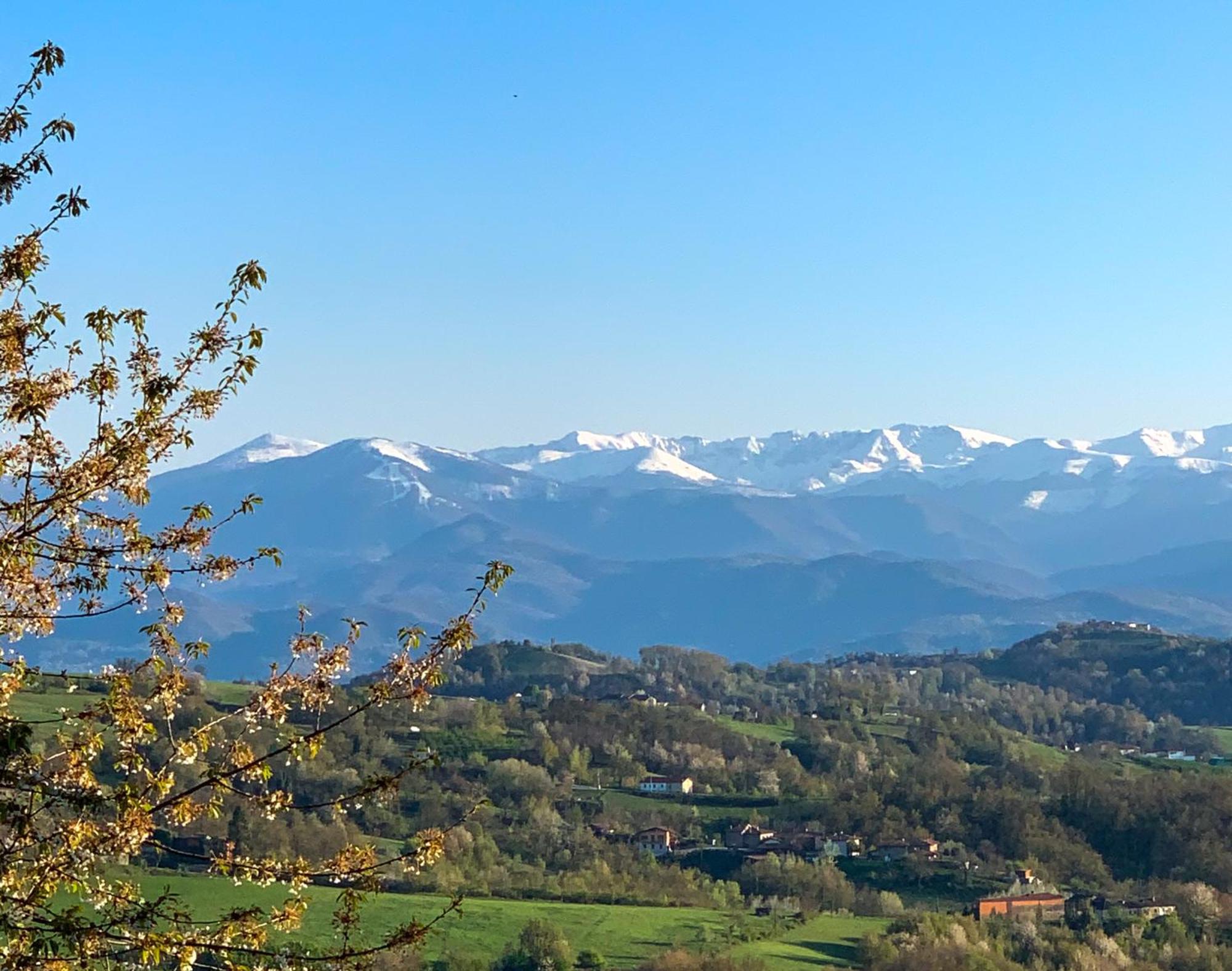 Villa Just Langhe Casa Barolo Novello Exterior foto